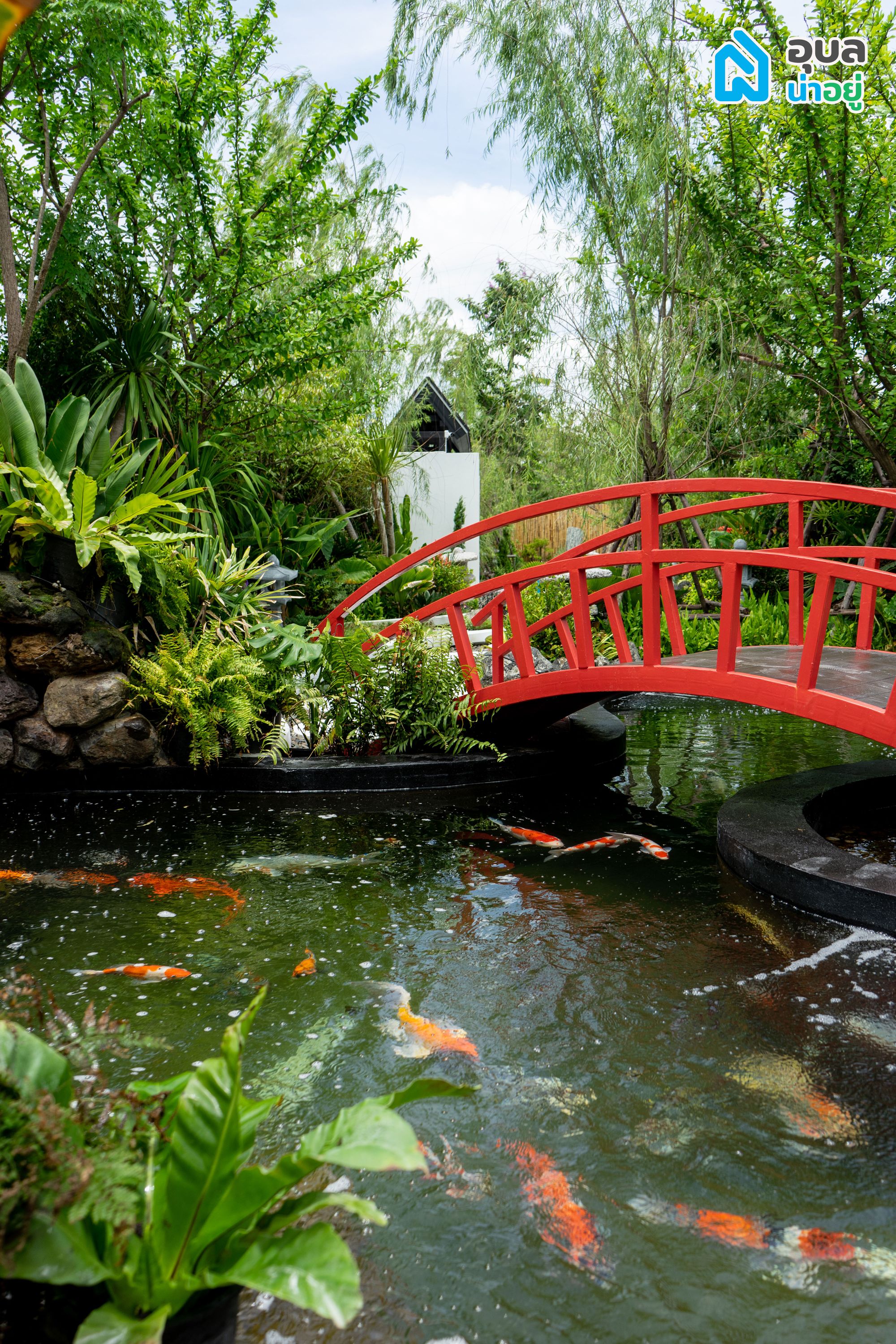 Ai Garden Café & Studio - บ่อปลาคาร์ฟ