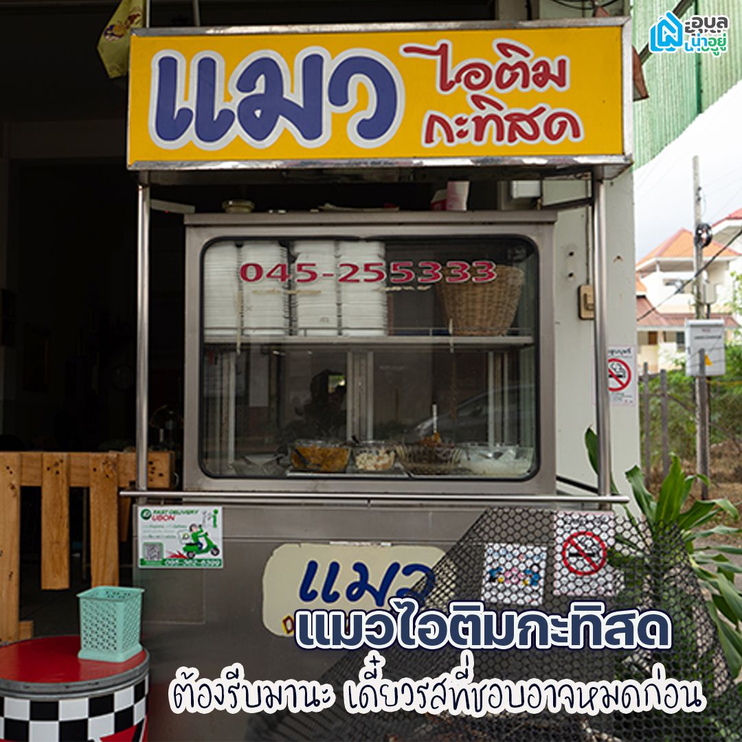 แมวไอติมกะทิสด