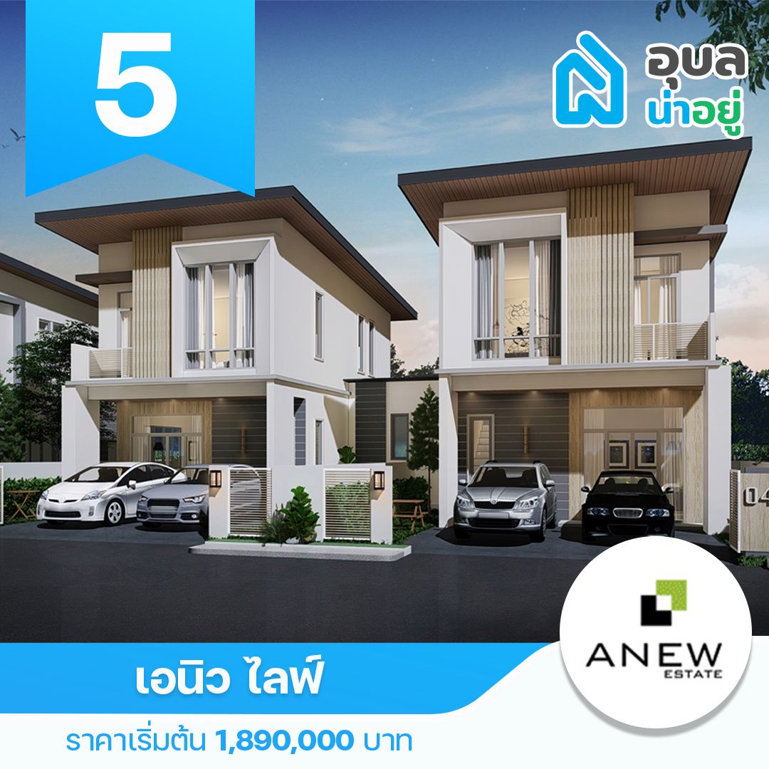 เอนิว ไลฟ์