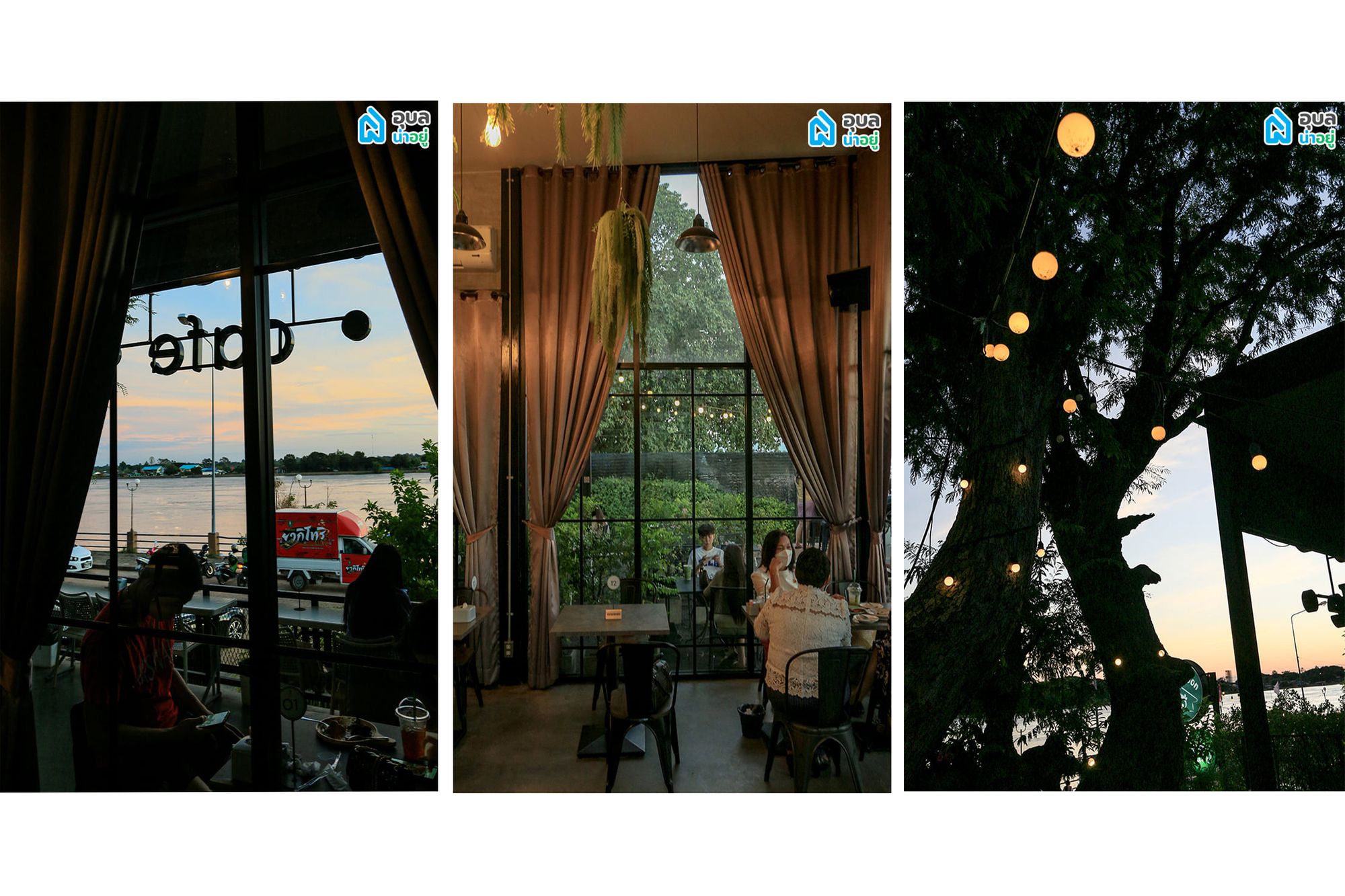 Tree Cafe Rim Moon