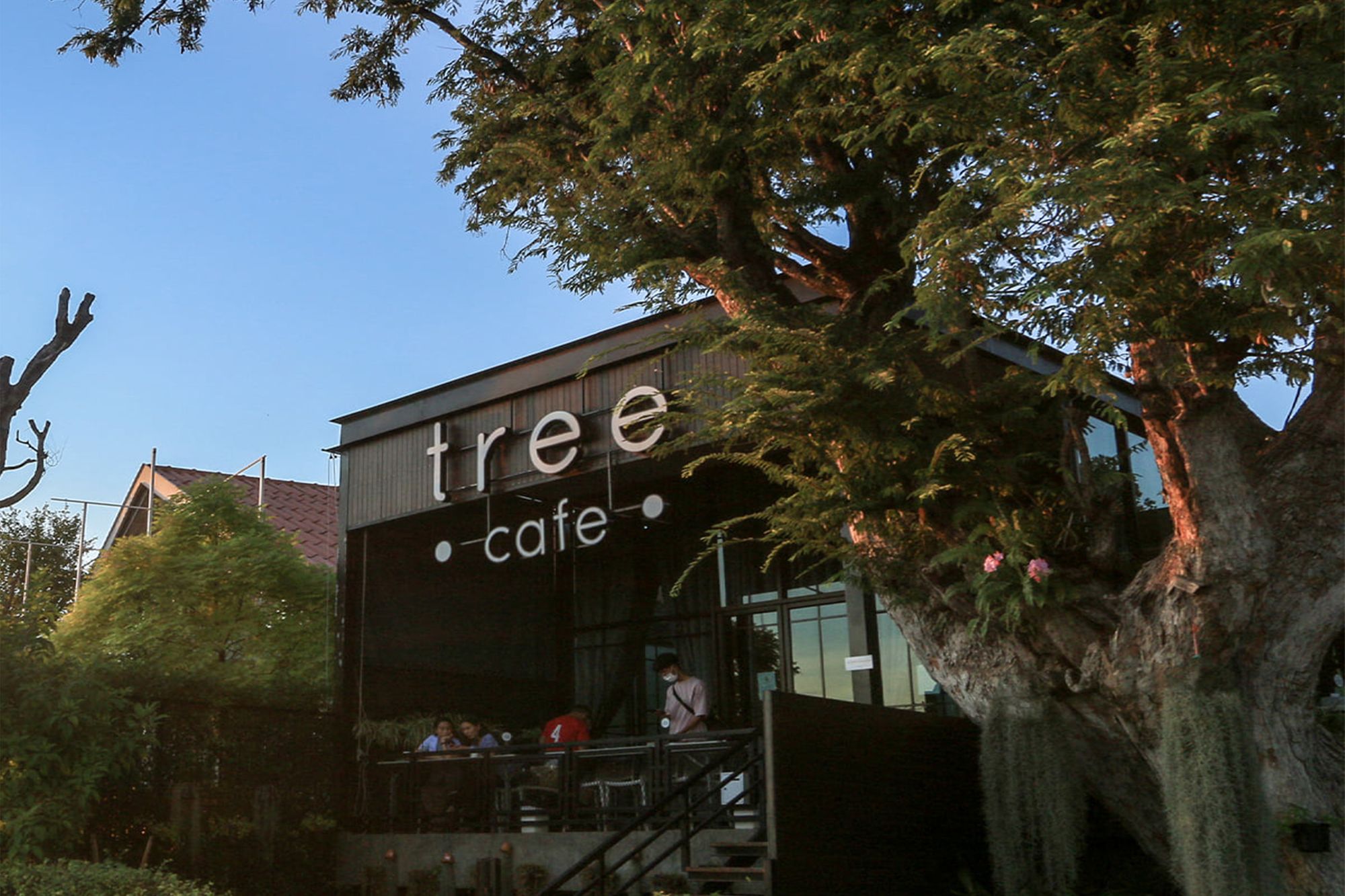 ร้านนั่งชิล อุบล Tree cafe rim moon