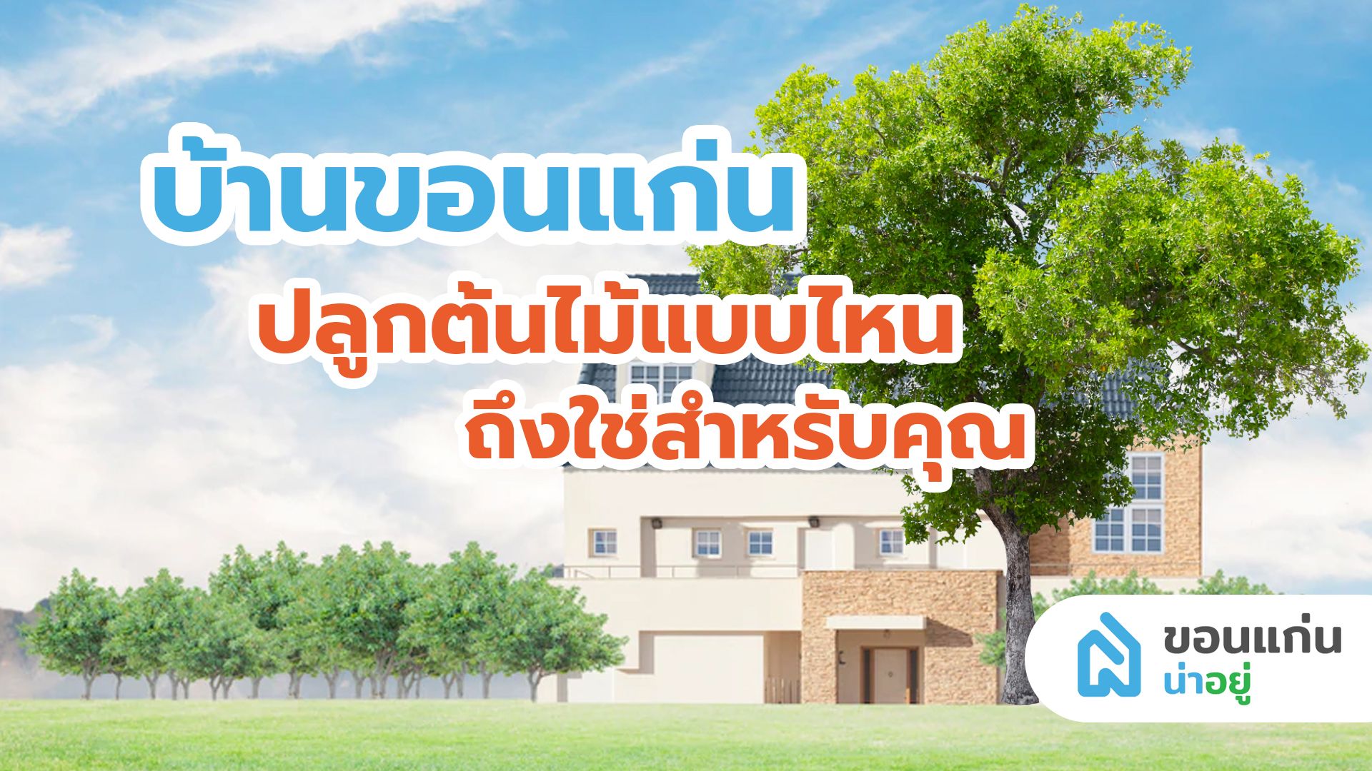 บ้านขอนแก่น ปลูกต้นไม้แบบไหน ถึงใช่สำหรับบ้านคุณ