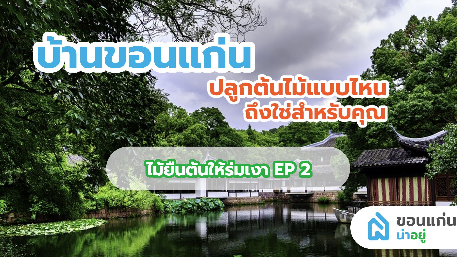บ้านขอนแก่น ปลูกต้นไม้แบบไหน ถึงใช่สำหรับบ้านคุณ I ไม้ยืนต้นให้ร่มเงา  EP 2
