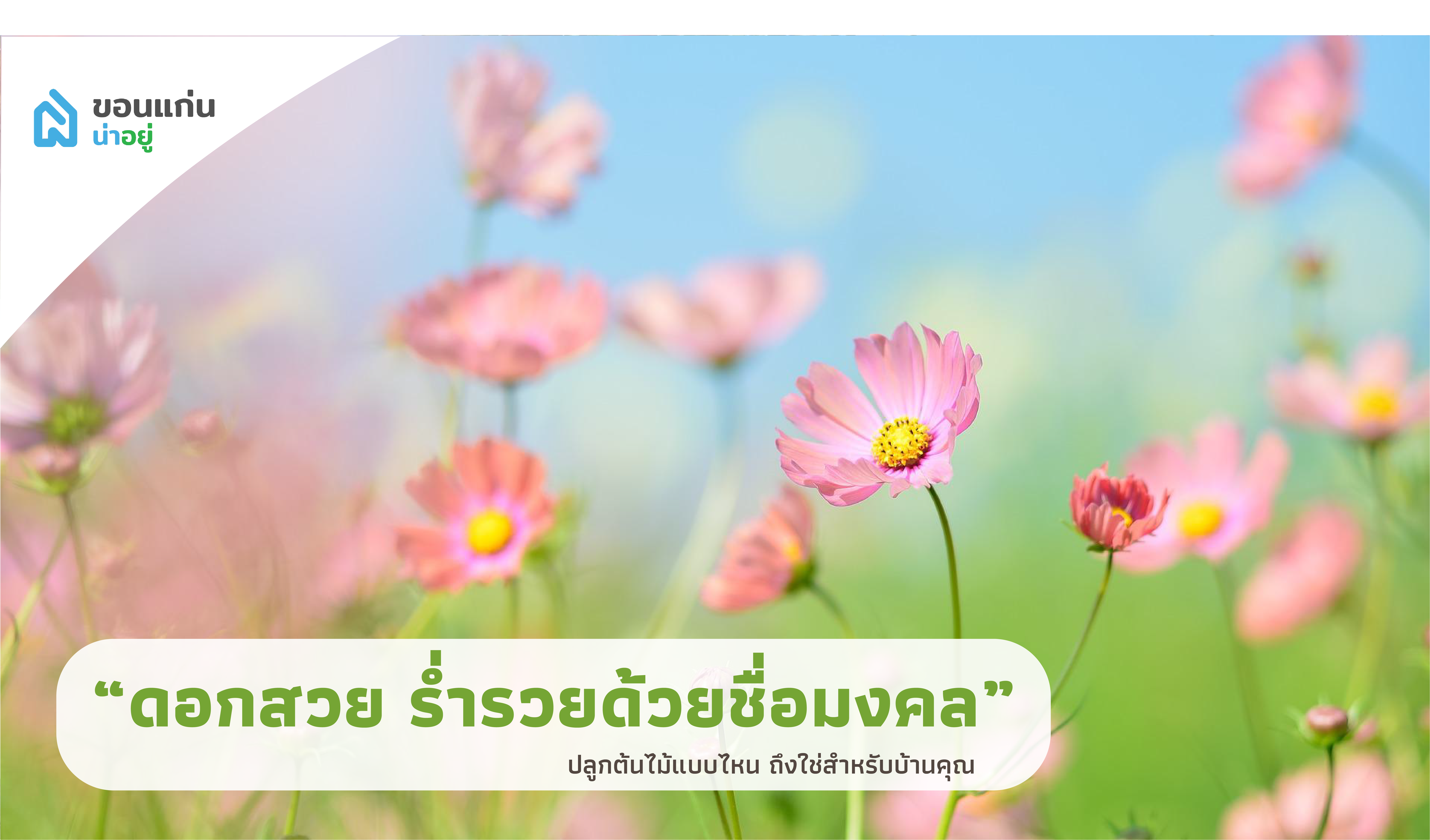 บ้านขอนแก่น ปลูกต้นไม้แบบไหน ถึงใช่สำหรับบ้านคุณ I ไม้ยืนต้น ดอกสวย ร่ำรวยด้วยชื่อมงคล