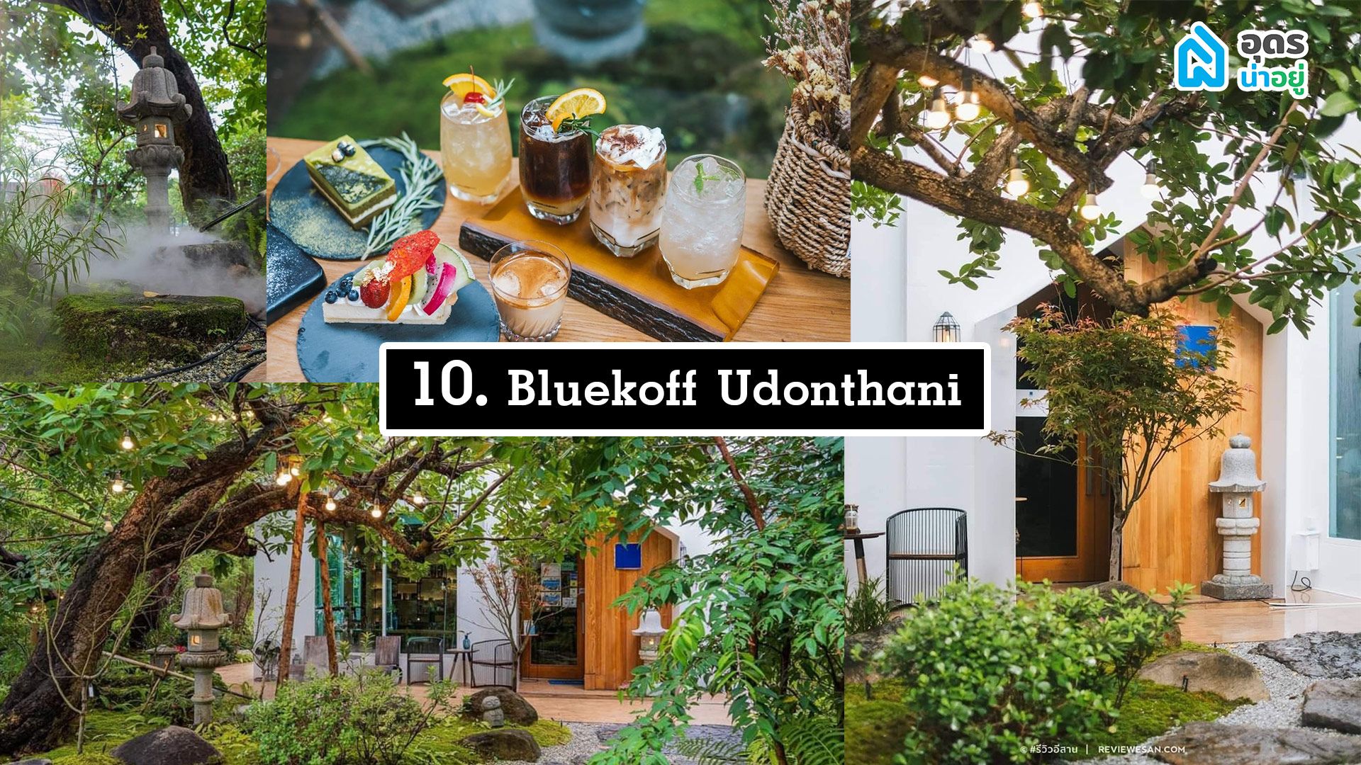 Bluekoff Udon
