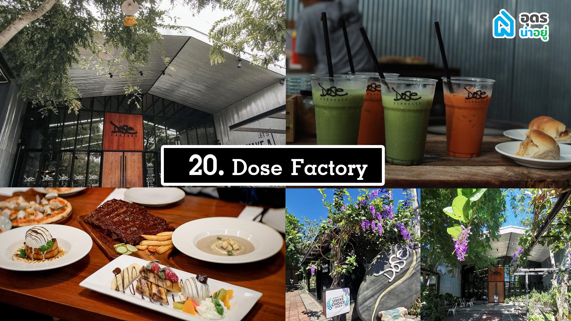 Dose Factory