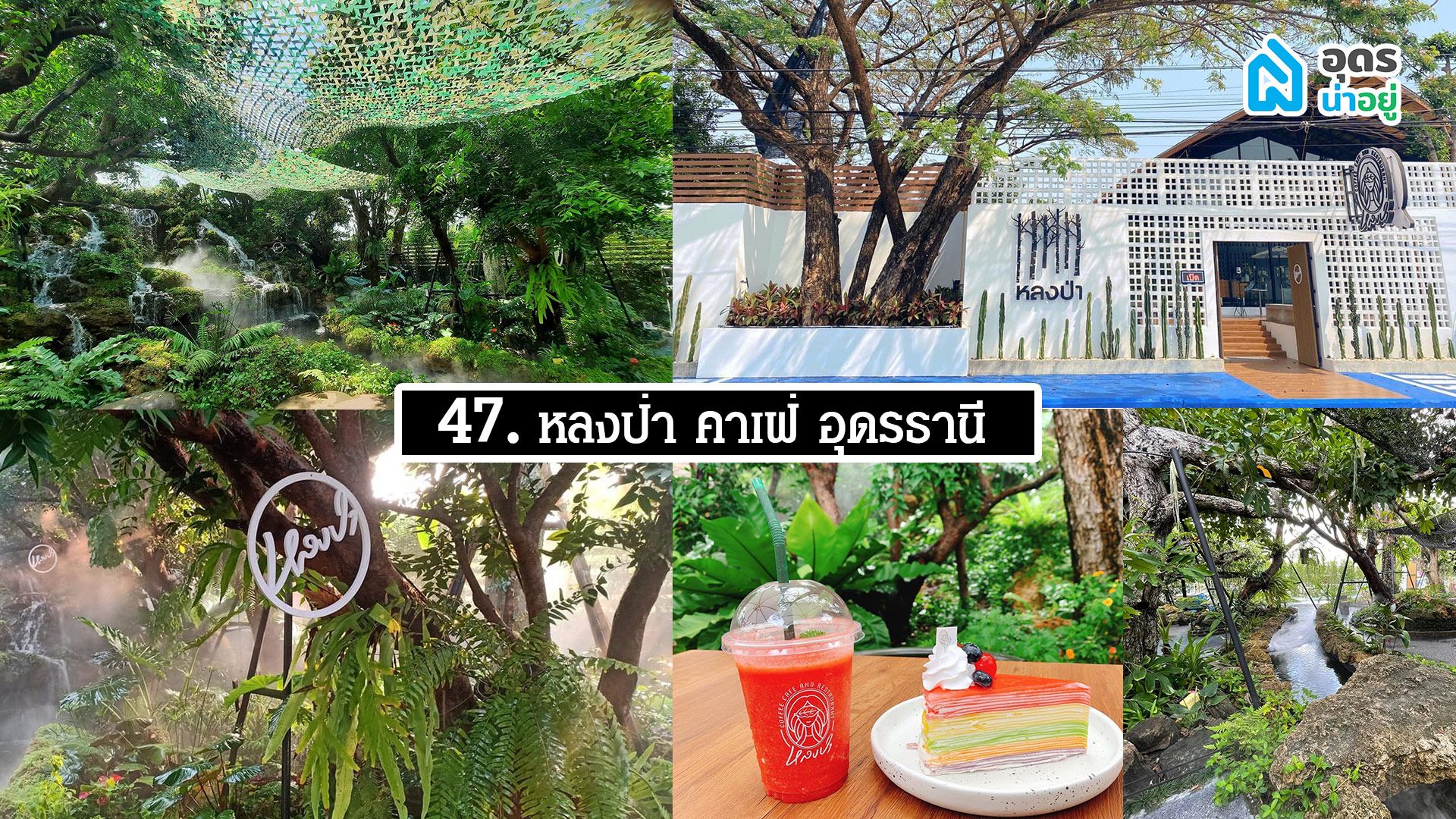หลงป่า คาเฟ่ อุดรธานี
