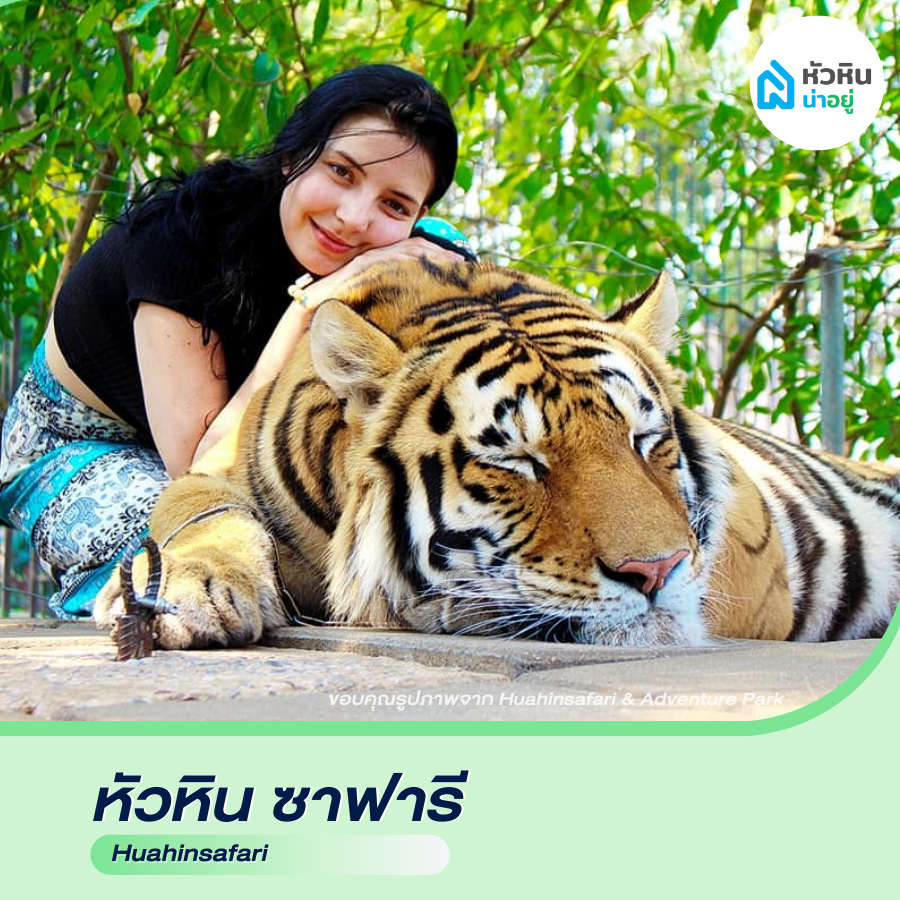 หัวหินซาฟารี ปาร์ค (Huahinsafari park) หัวหิน ซอย112 ซ.112 ที่เที่ยว สวนสัตว์
