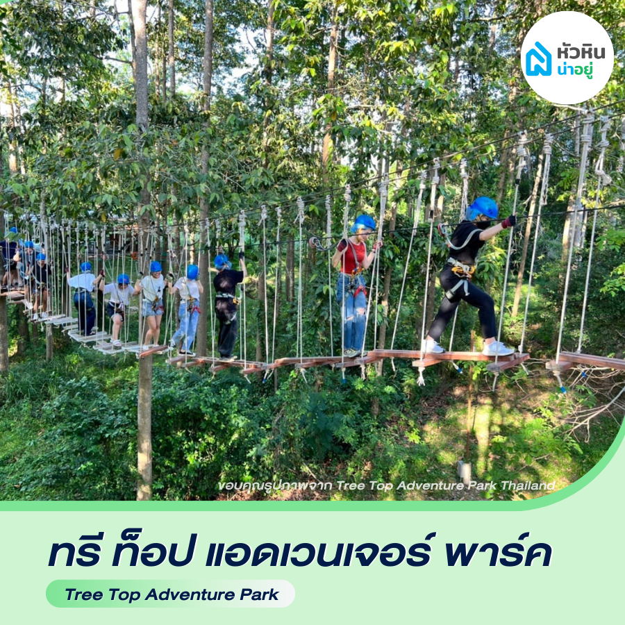 ทรีท็อป แอดเวนเจอร์ พาร์ค หัวหิน (Tree top Adventuure Park) หัวหิน ซอย112 ซ.112 ที่เที่ยว ผจญภัย