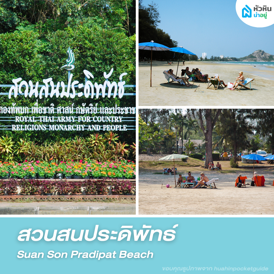 สวนสนประดิพัทธ์ - Suan Son Pradipat Beach โซน อุทยานราชภักดิ์ วัดเขาดิน สวนสน ที่เที่ยว สวน ธรรมชาติ ชายหาด ทะเล ชายทะเล