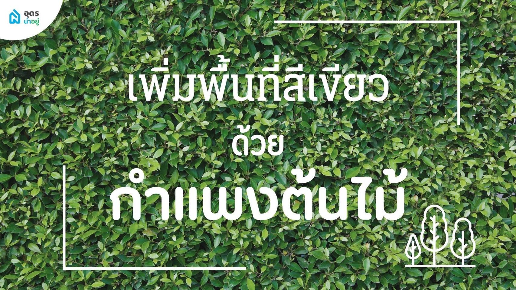 เพิ่มพื้นที่สีเขียวด้วย 9 กำแพงต้นไม้