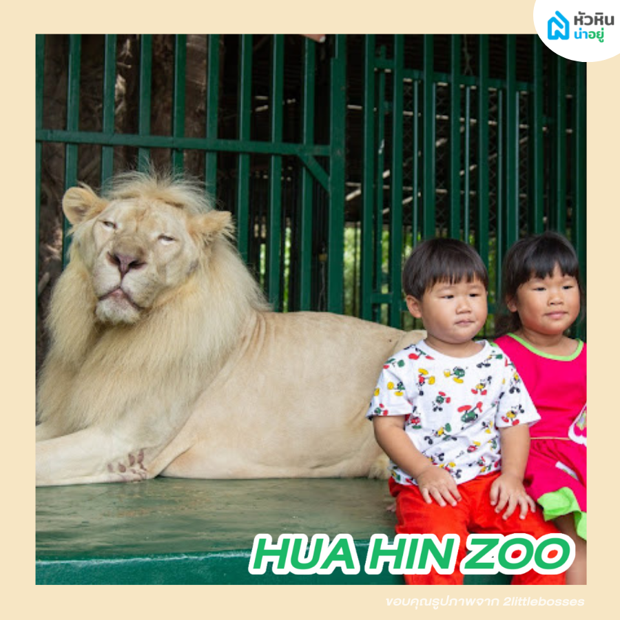 Hua Hin Zoo Thailand For kids