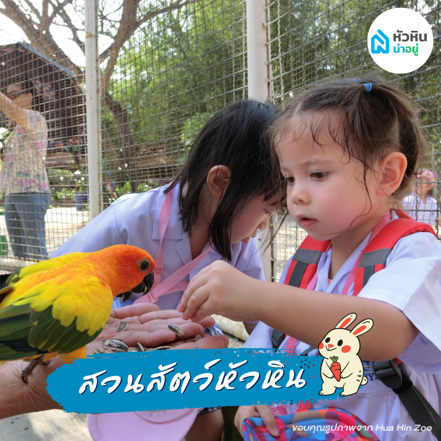 สวนสัตว์หัวหิน - Huahin zoo ที่เที่ยว ครอบครัว หัวหิน 