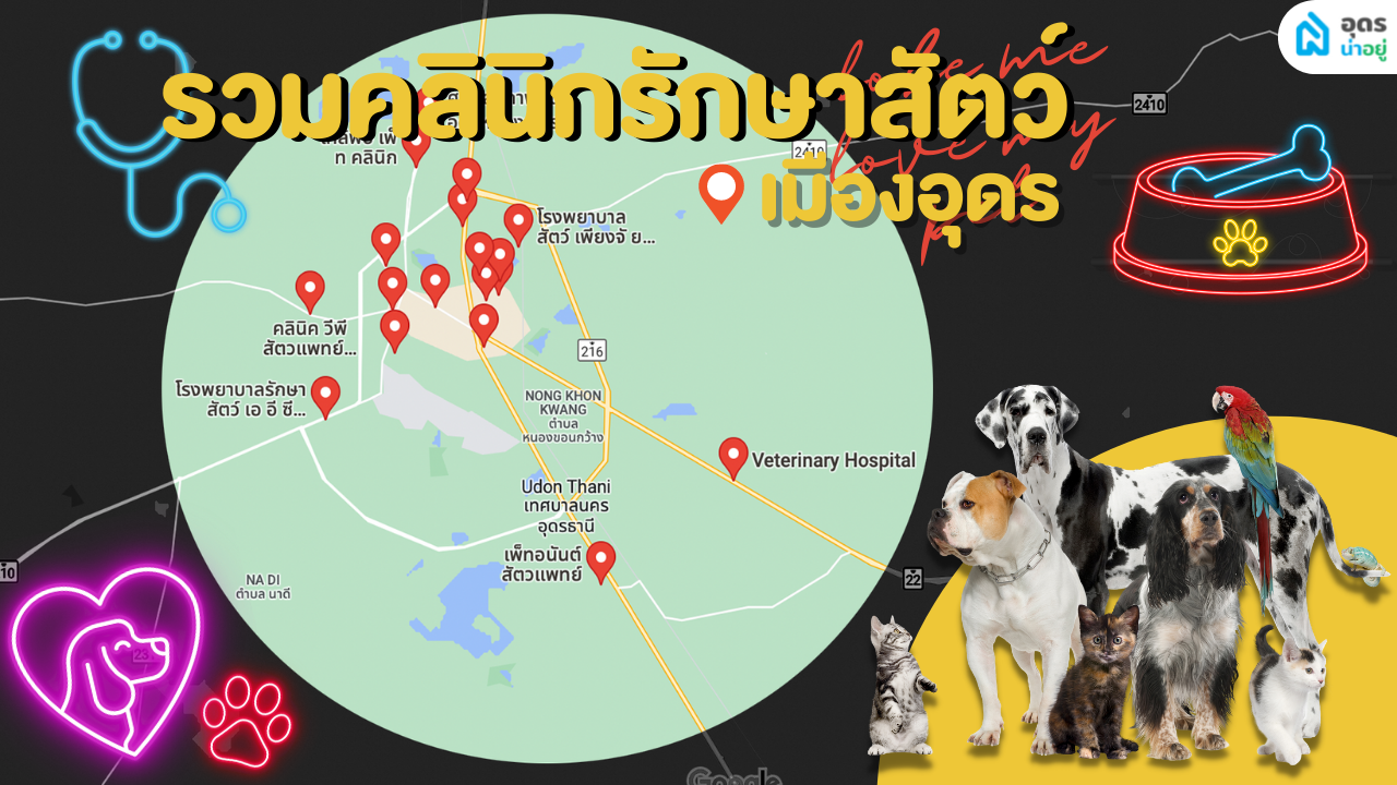 รวมโรงพยาบาลสัตว์ในอุดร ไม่ว่าจะรักษา ทำหมัน ก็มีครบ!