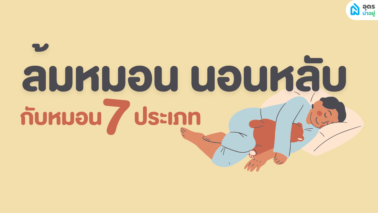 ล้มหมอน นอนหลับ กับหมอน 7 ประเภท