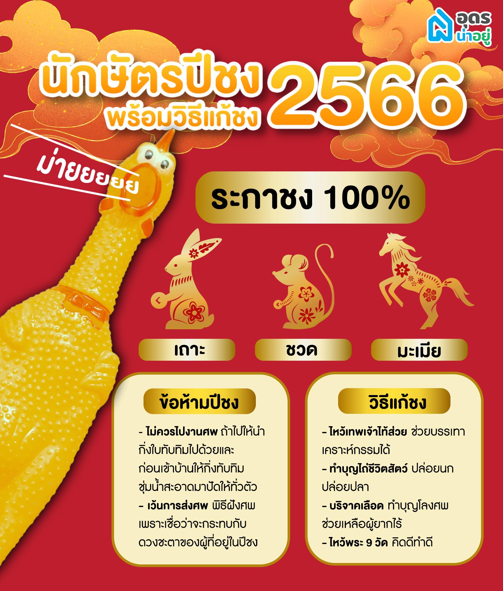 แก้ชง ปี 2566 ปีชง 2566