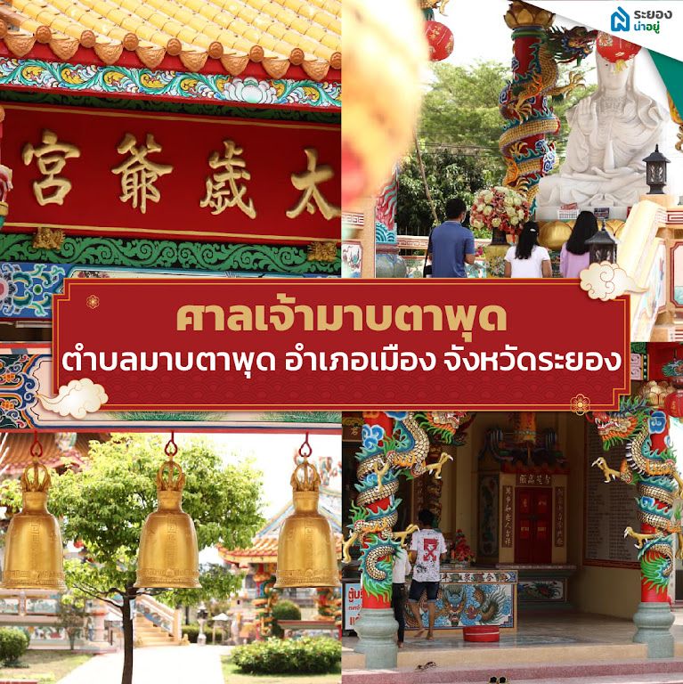 ปีชง