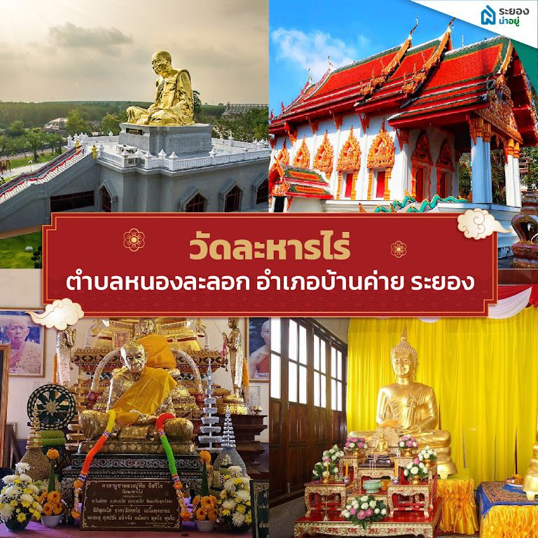 ปีชง