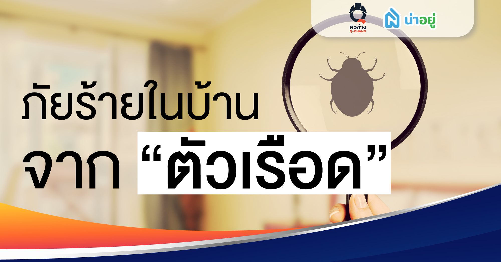 ภัยร้ายในบ้านจาก"ตัวเรือด"