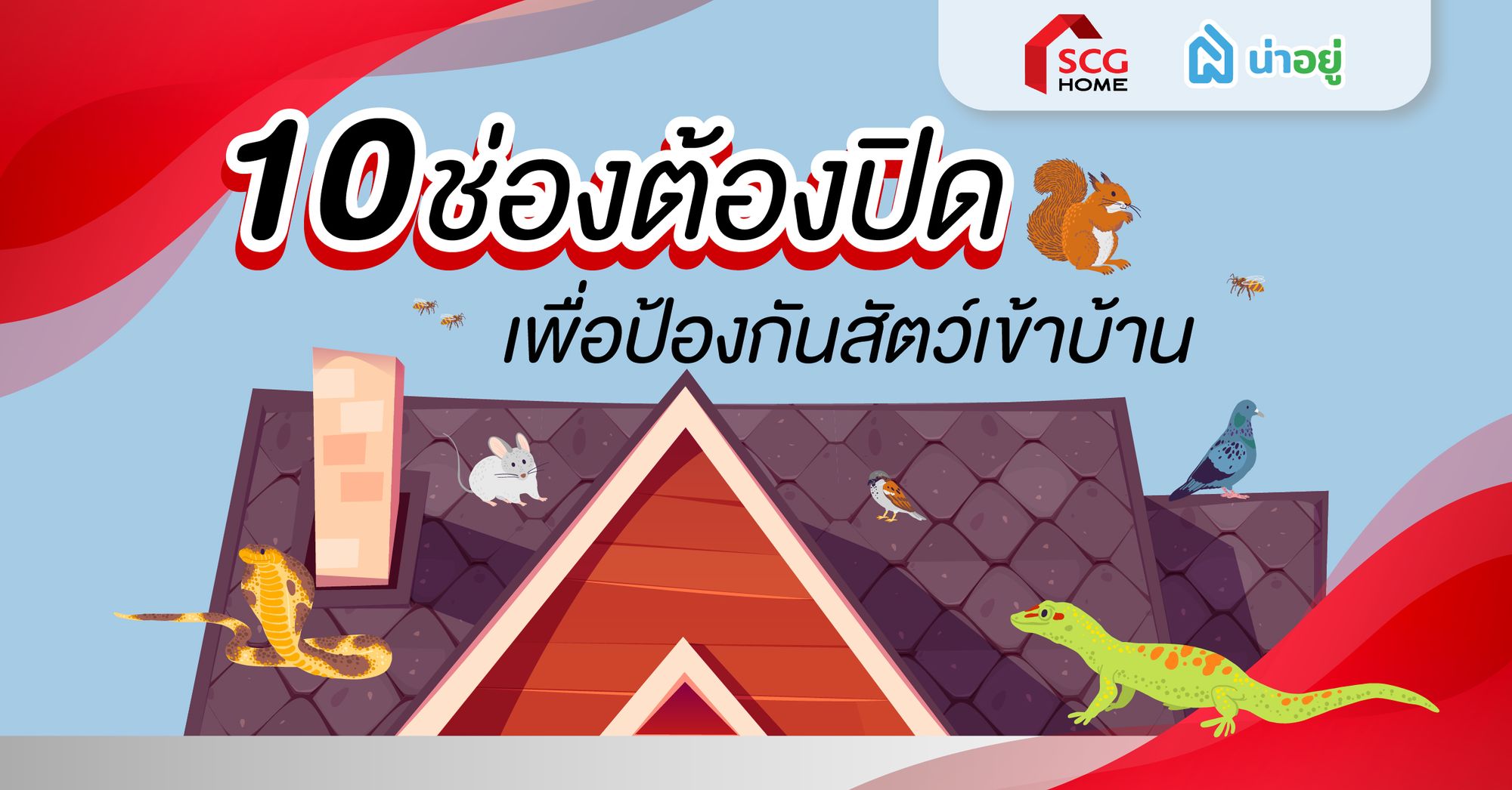 10 ช่องต้องปิด! ต่อเติมตรงไหนบ้างเพื่อป้องกันสัตว์เข้าบ้าน