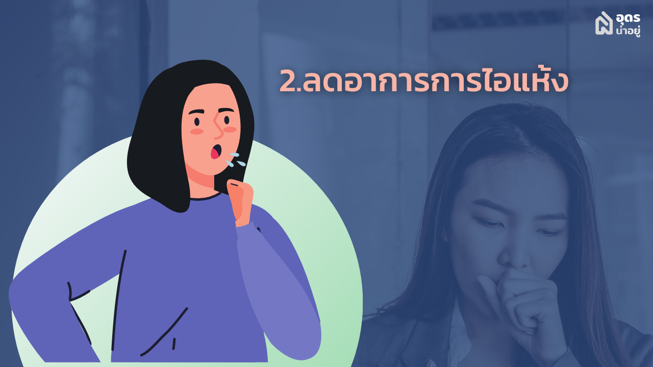 Humidifier เครื่องทำความชื้น เครื่องพ่นไอน้ำ