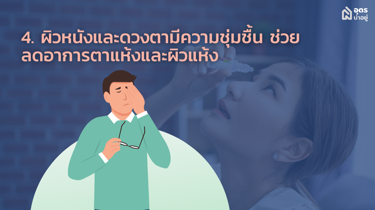 Humidifier เครื่องทำความชื้น เครื่องพ่นไอน้ำ