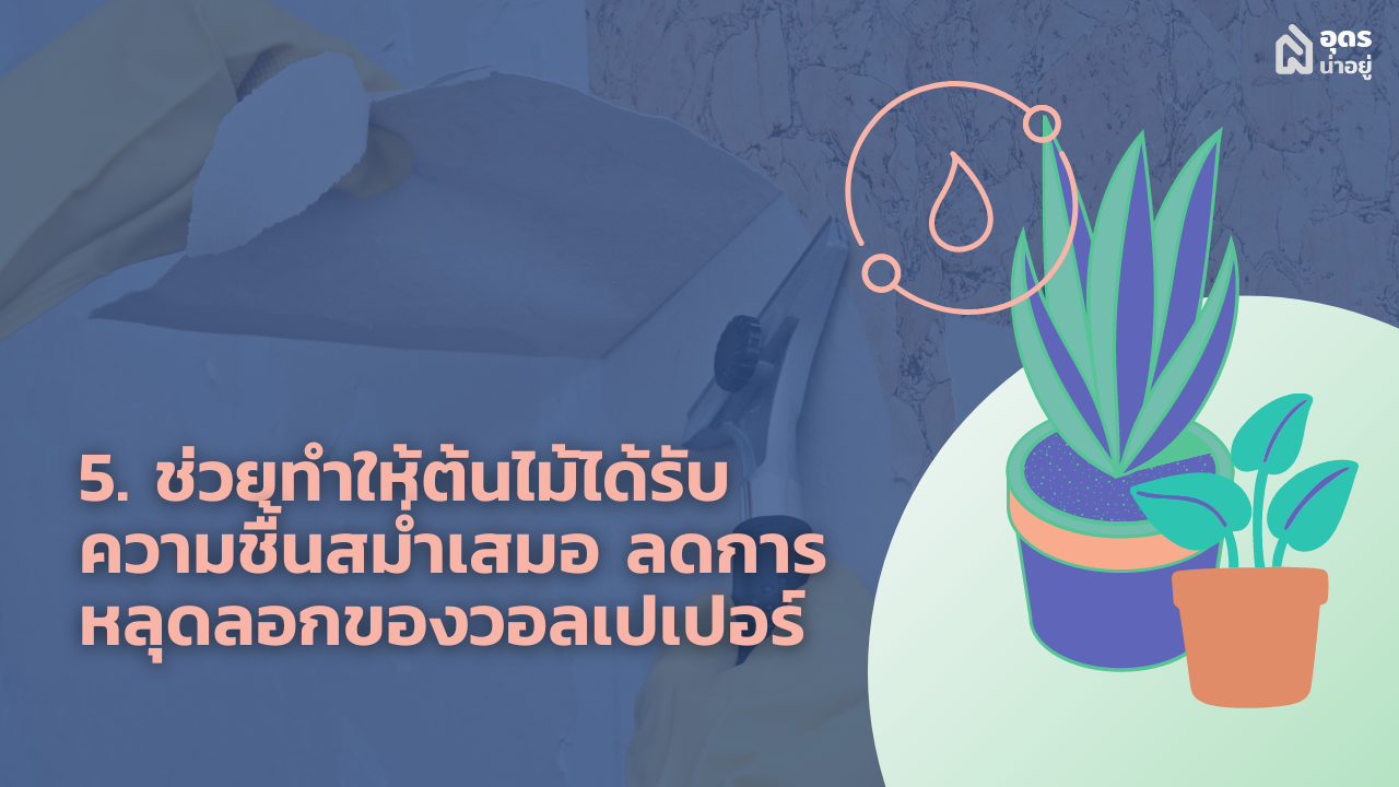 Humidifier เครื่องทำความชื้น เครื่องพ่นไอน้ำ