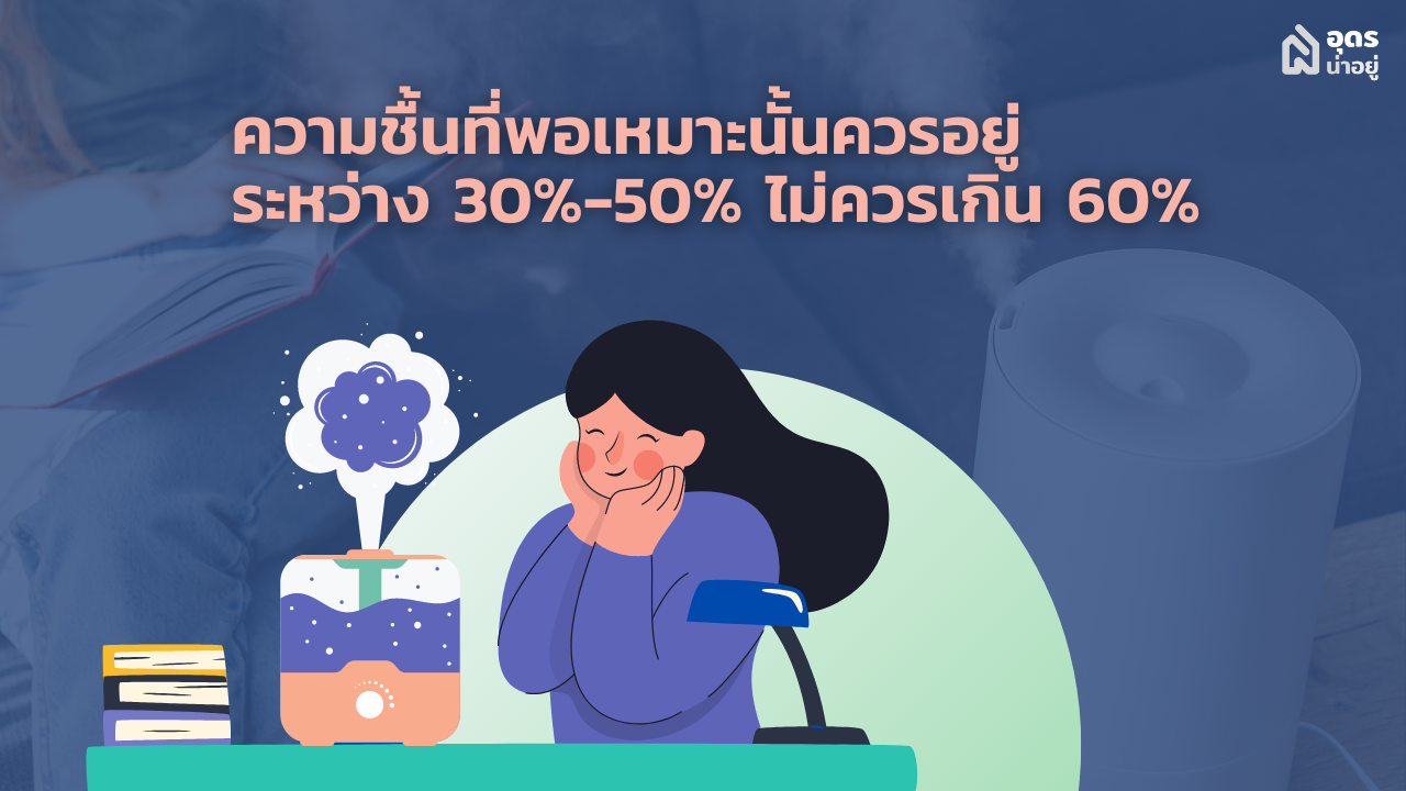 Humidifier เครื่องทำความชื้น เครื่องพ่นไอน้ำ