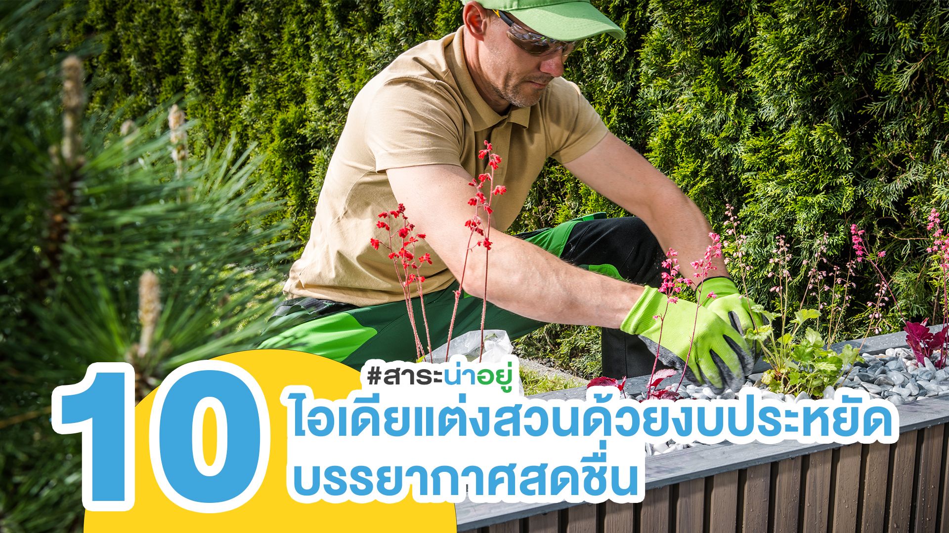 ไอเดียแต่งสวนด้วยงบประหยัด บรรยากาศสดชื่น