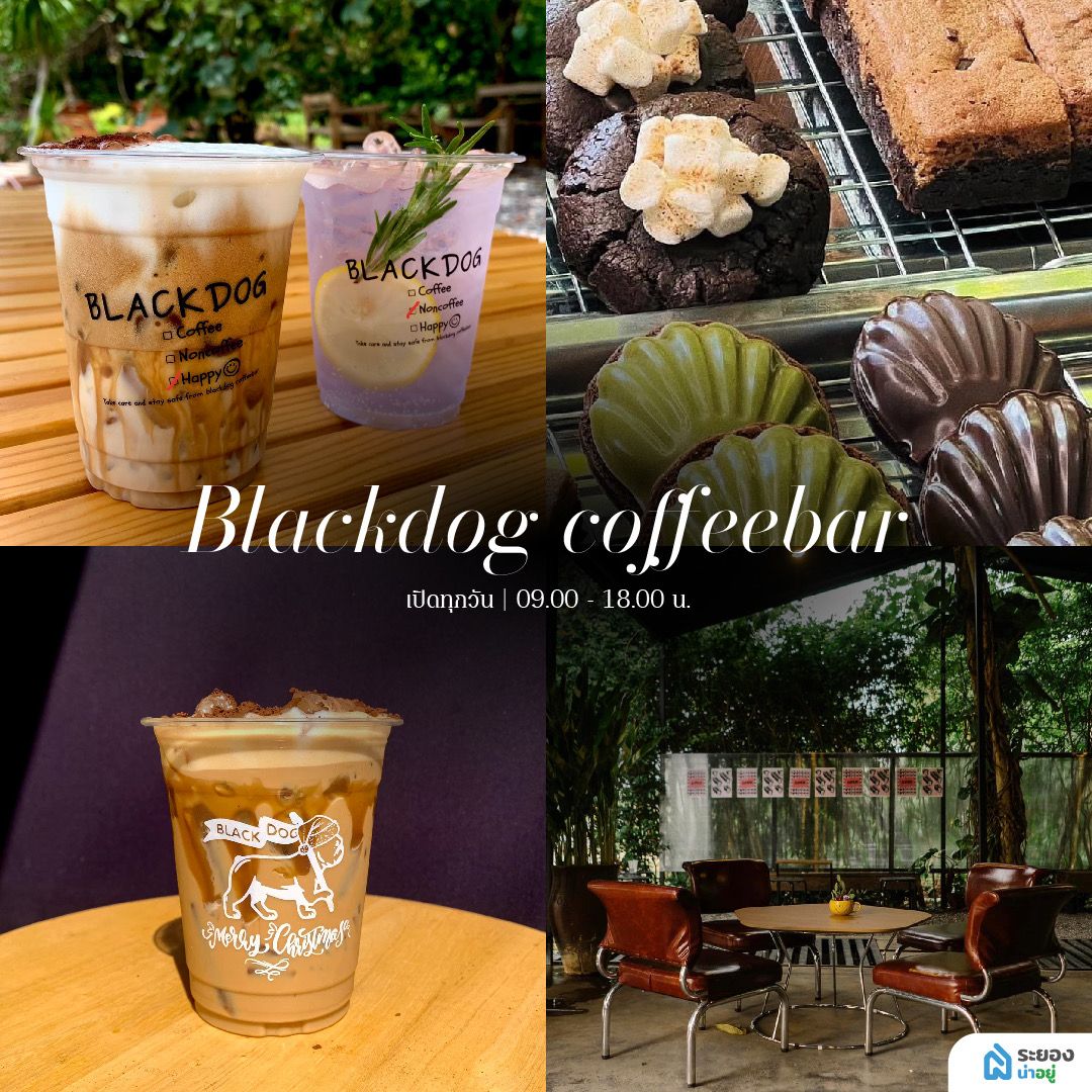 คาเฟ่ระยอง