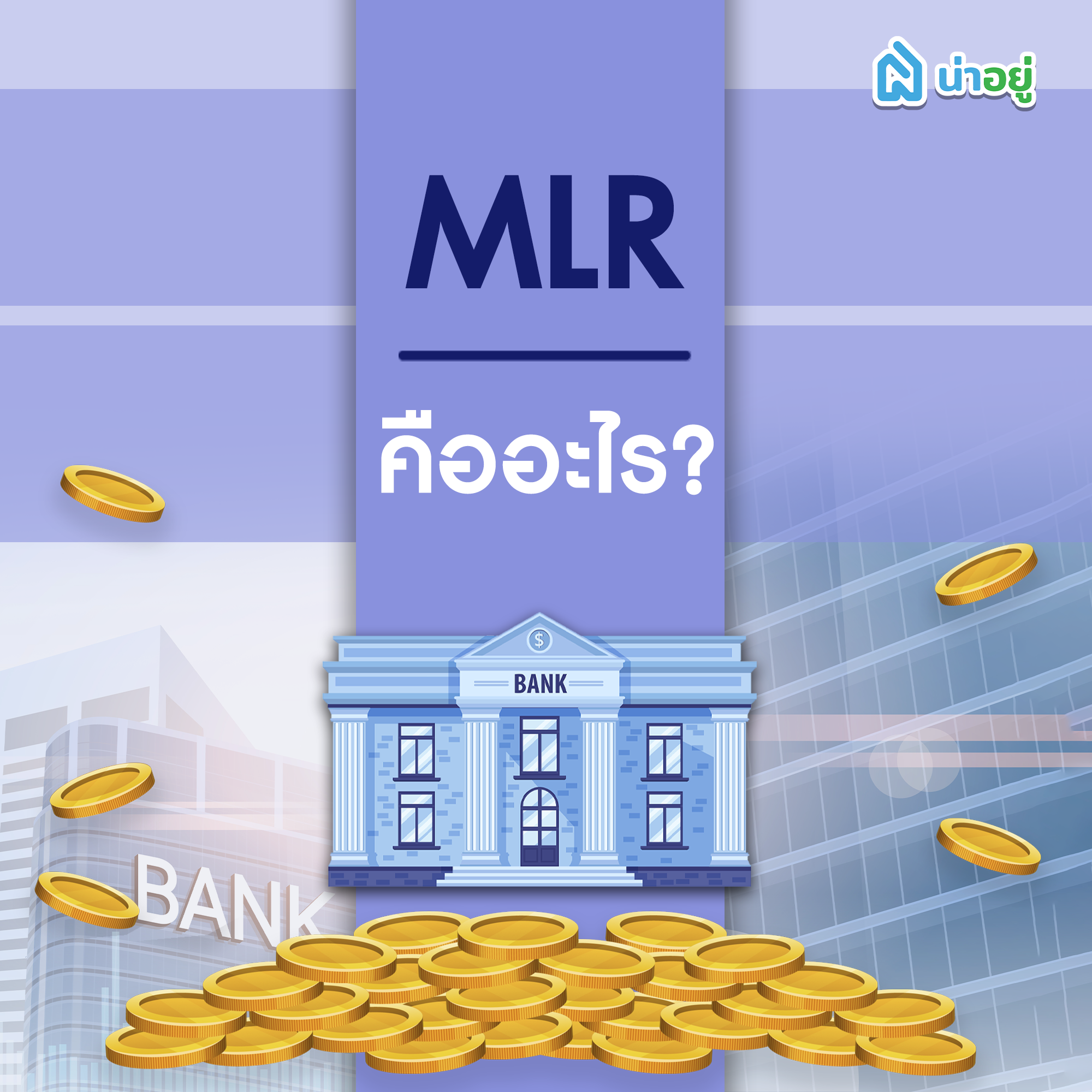 MLR คืออะไร