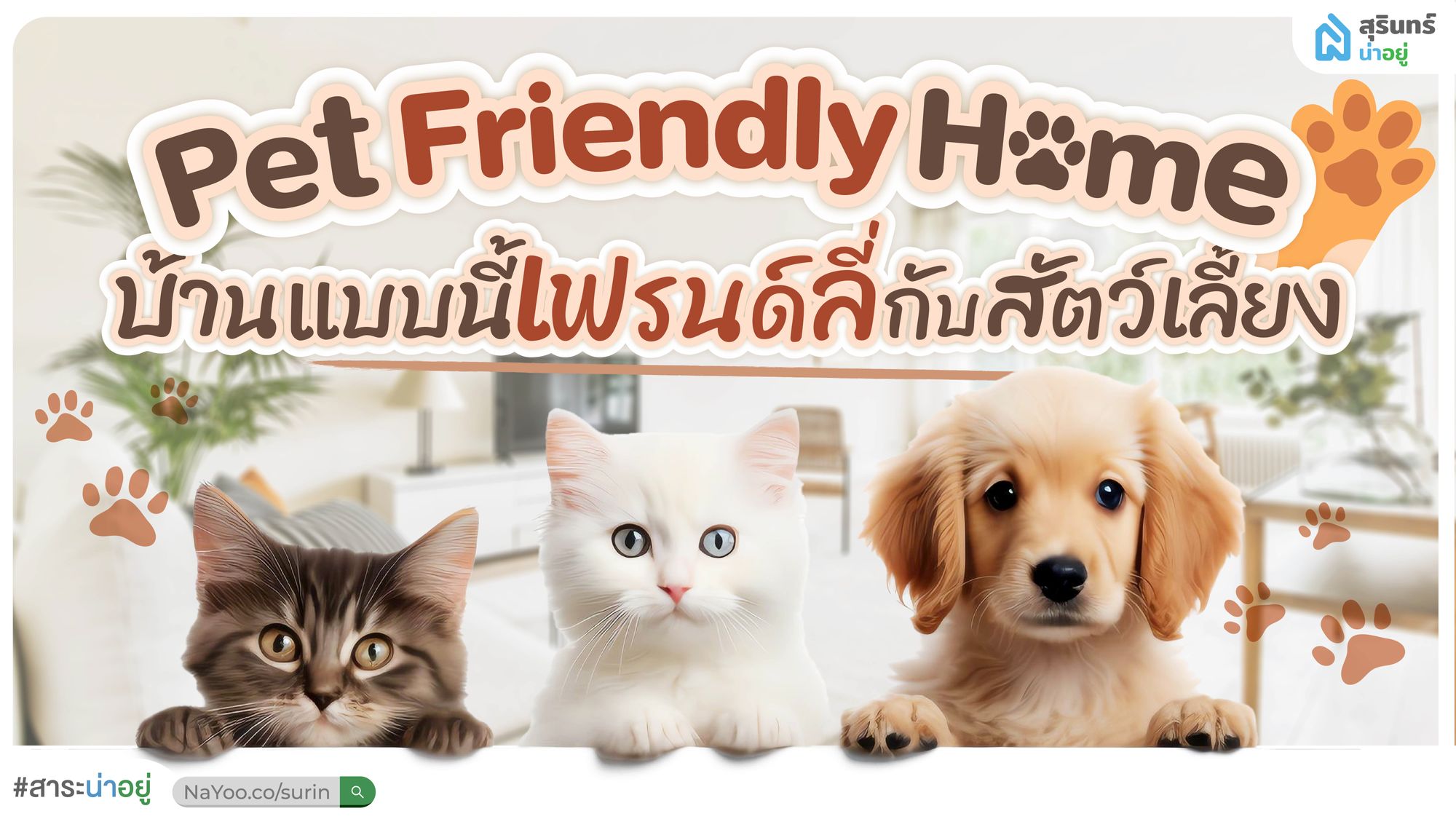 Pet-Friendly Home บ้านแบบนี้ เฟรนด์ลี่กับสัตว์เลี้ยง