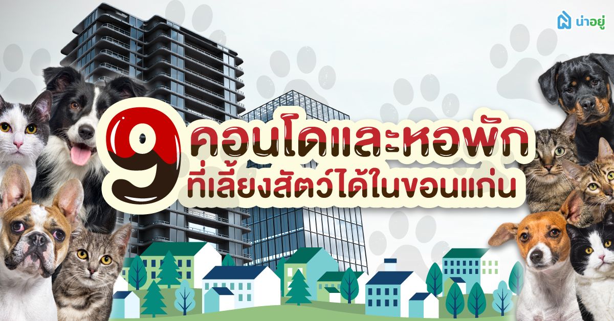 9 คอนโดและหอพักที่เลี้ยงสัตว์ได้ในขอนแก่น