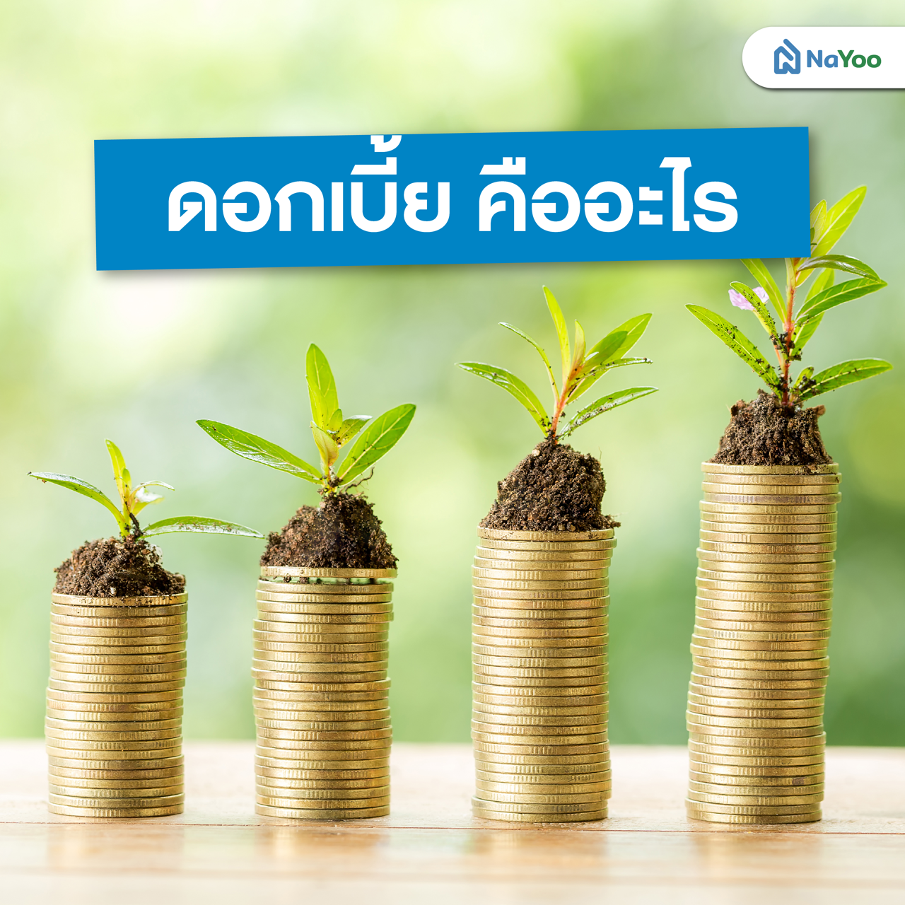ดอกเบี้ย คืออะไร