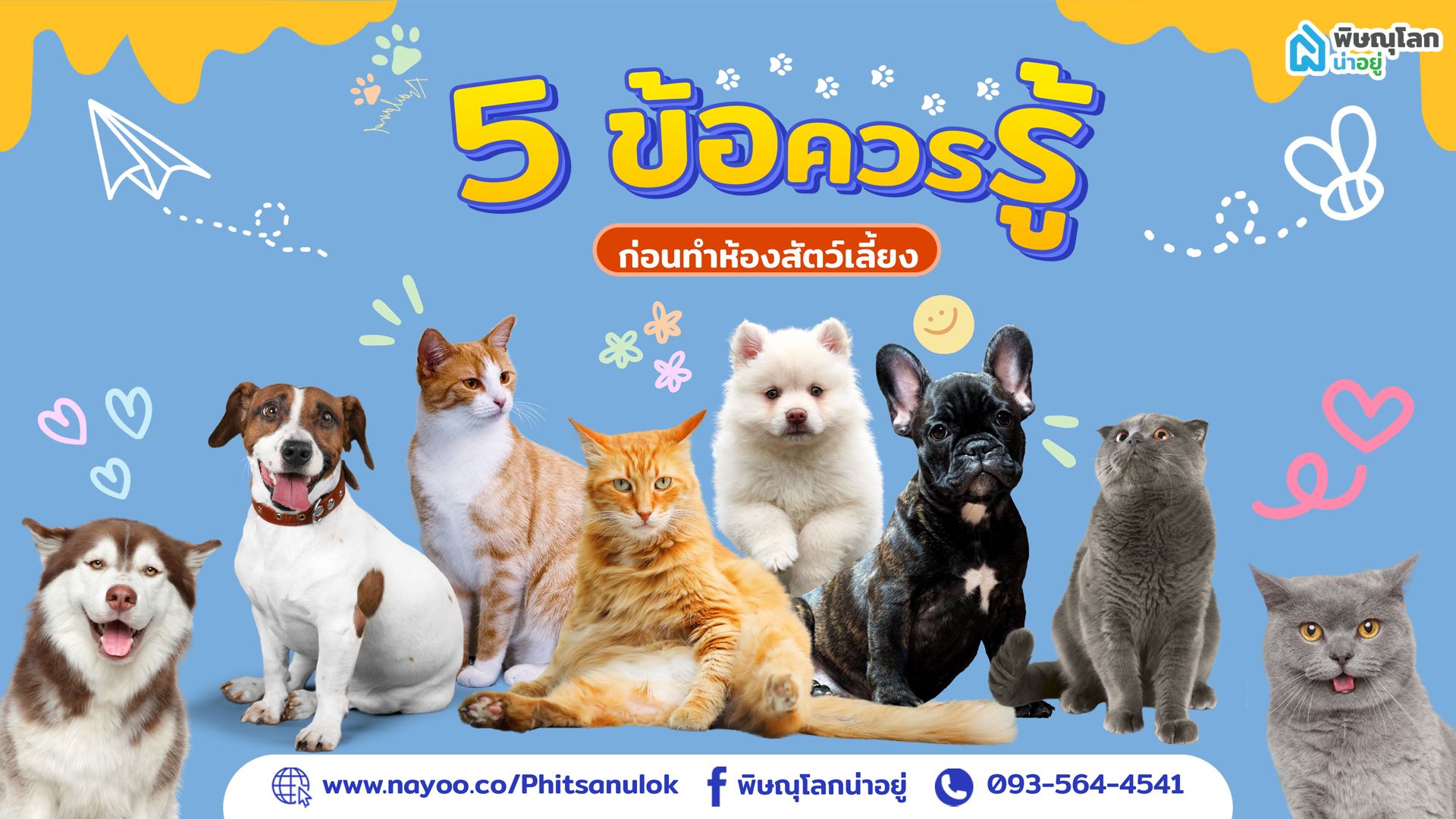 5 ข้อควรรู้ก่อนทำห้องสัตว์เลี้ยง