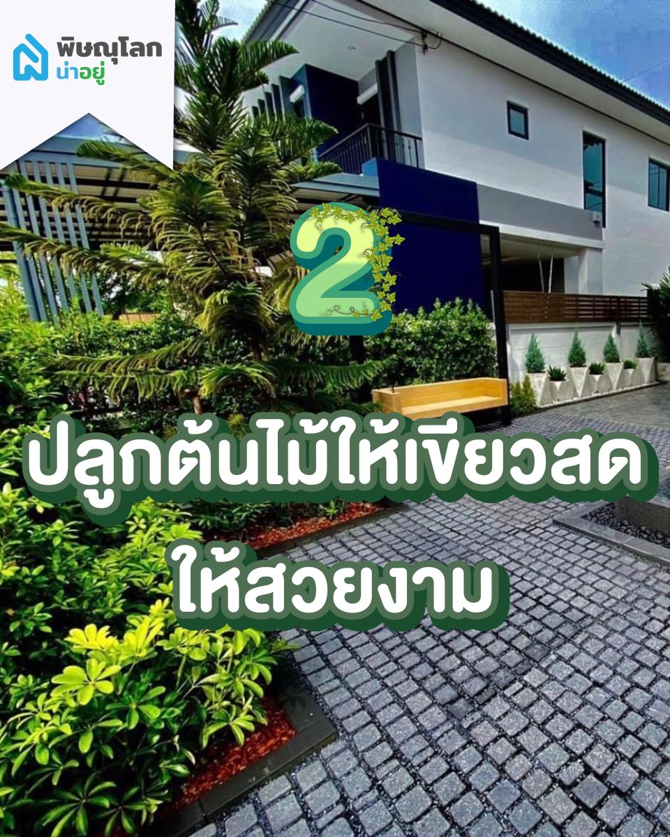 ปลูกต้นไม้ให้เขียวสดให้สวยงาม