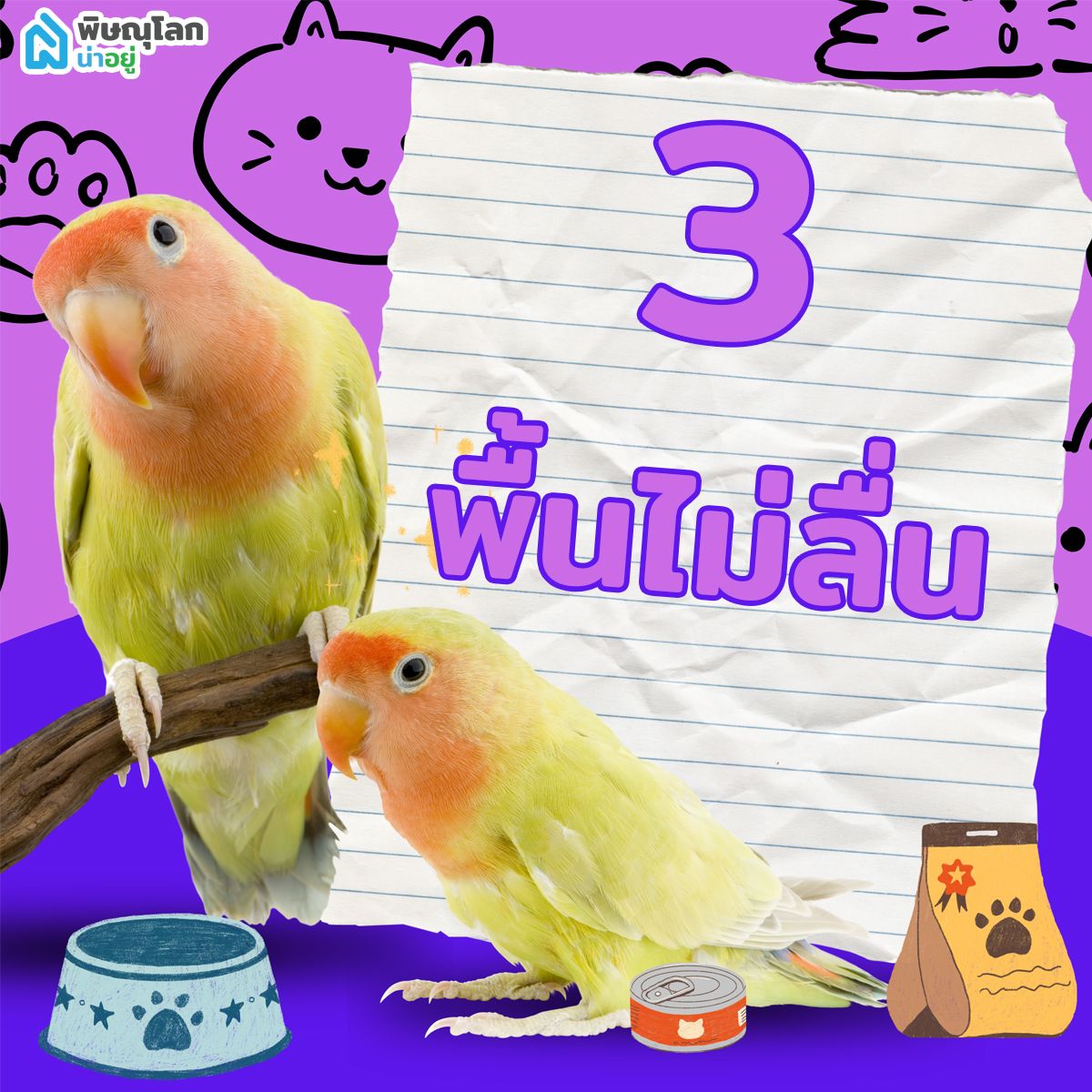 พื้นไม่ลื่น 
