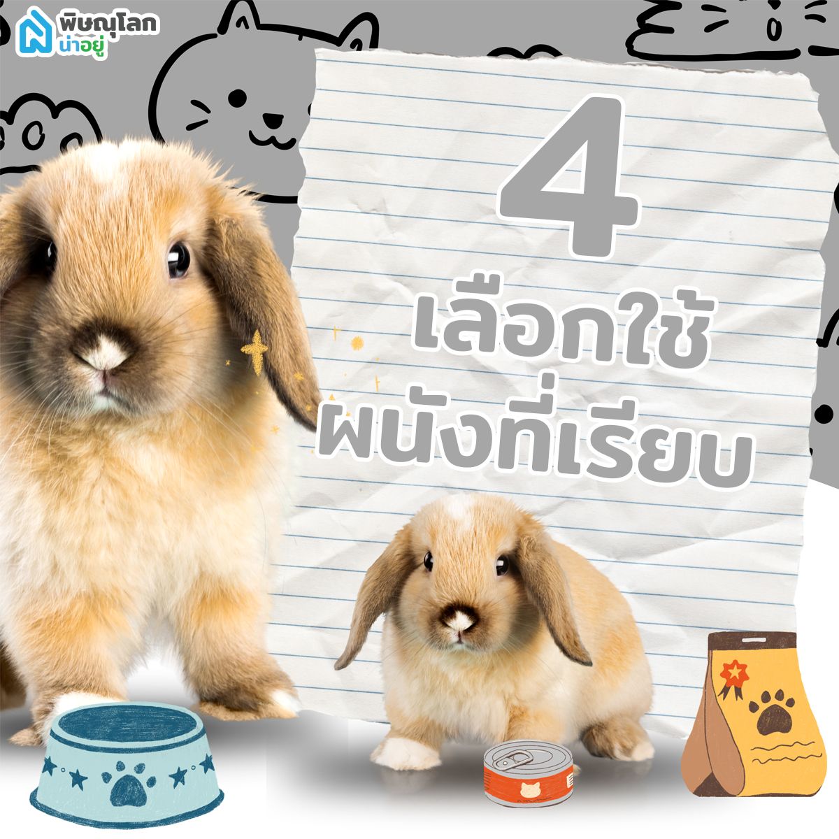 การเลือกใช้ผนังที่เรียบ