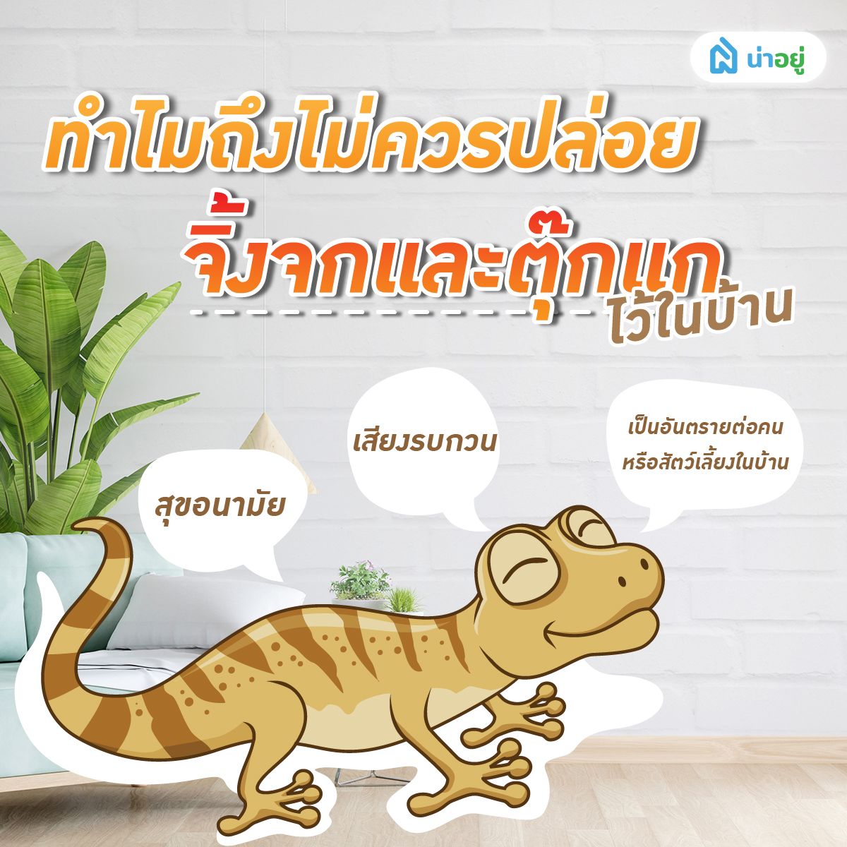 ทำไมถึงไม่ควรปล่อยจิ้งจกและตุ๊กแกเข้ามาในบ้านเรานะ