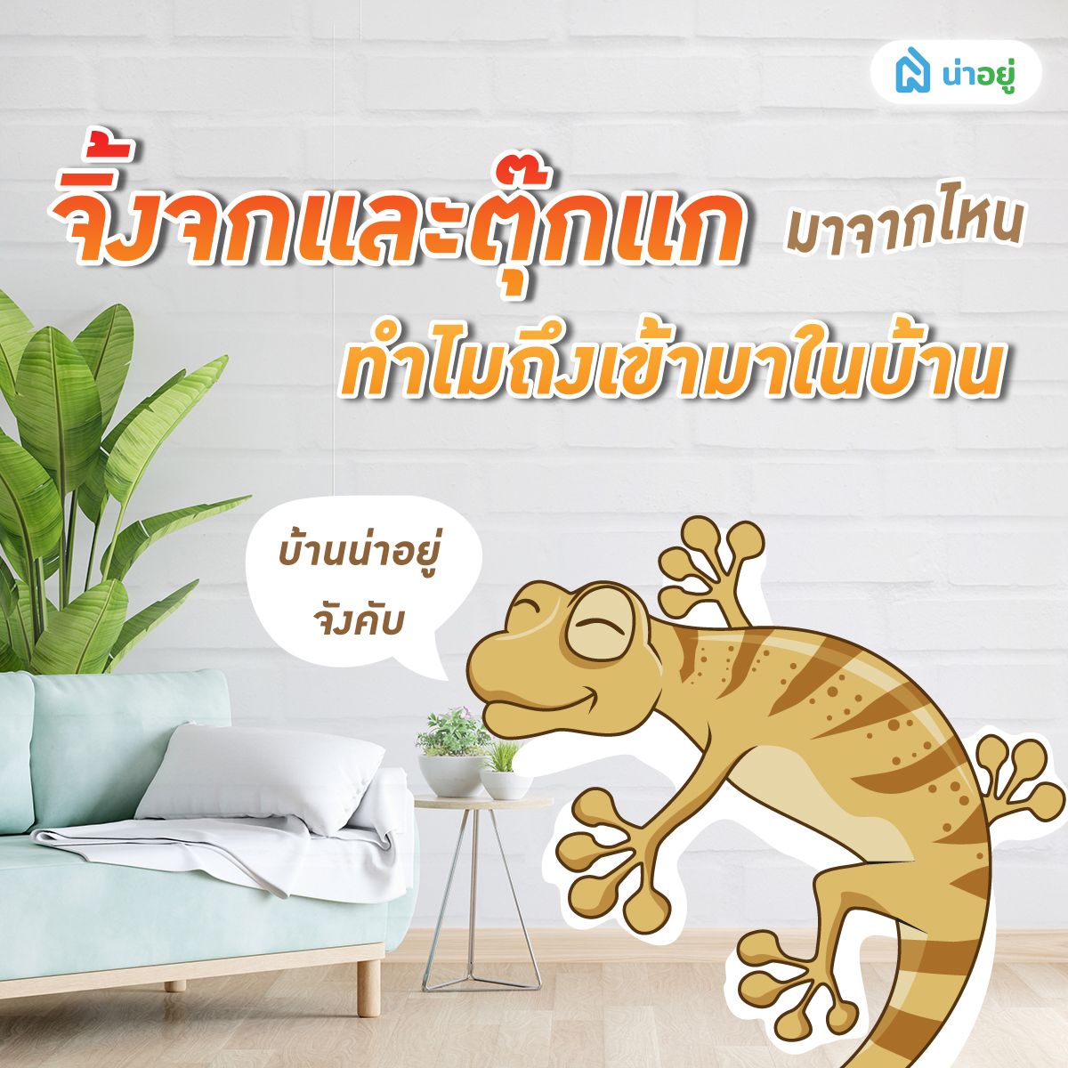 ทำไมจิ้งจกและตุ๊กแกถึงเข้ามาในบ้านของเรากันนะ