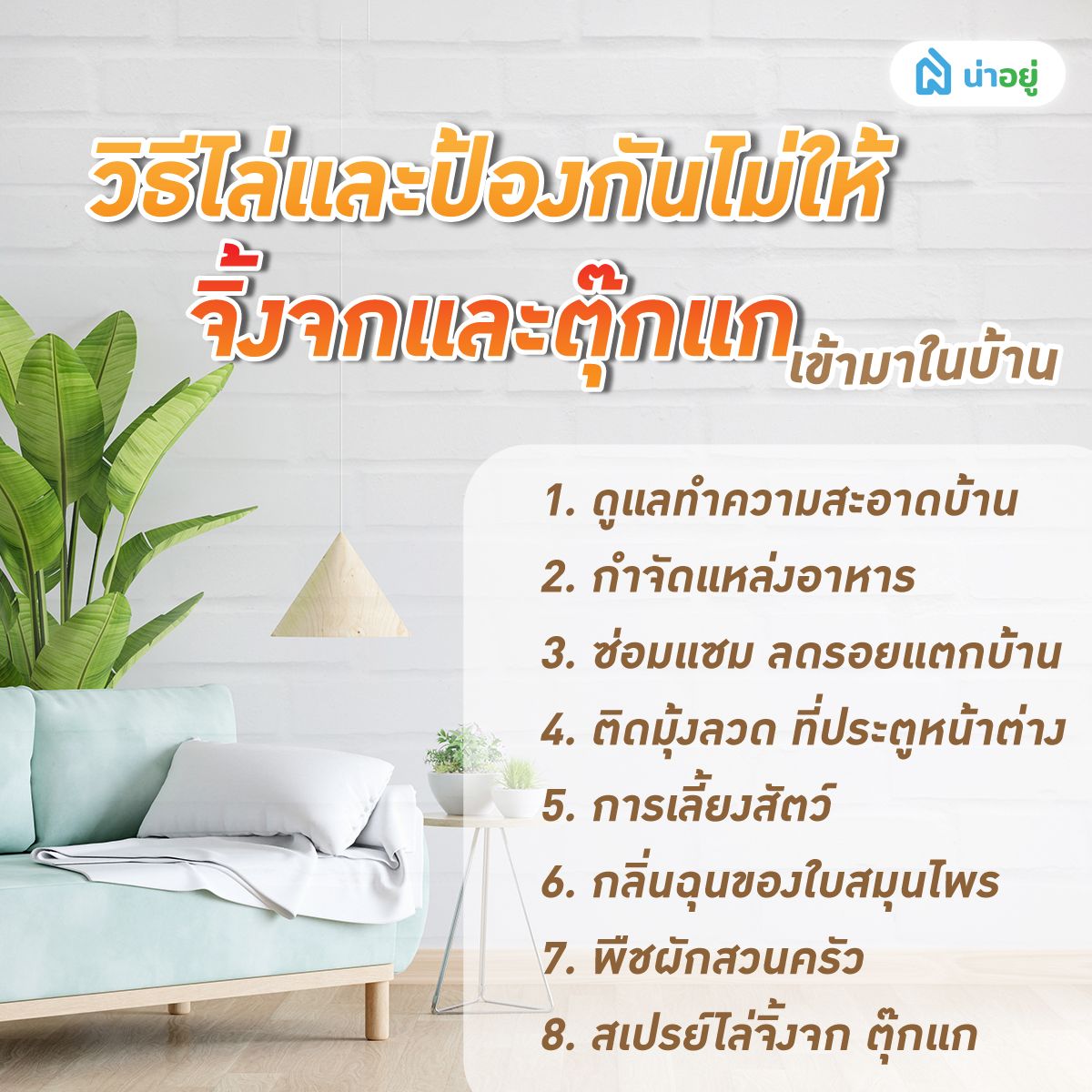 แนะนำวิธีไล่จิ้งจก และวิธีไล่ตุ๊กแกแบบง่าย ๆ