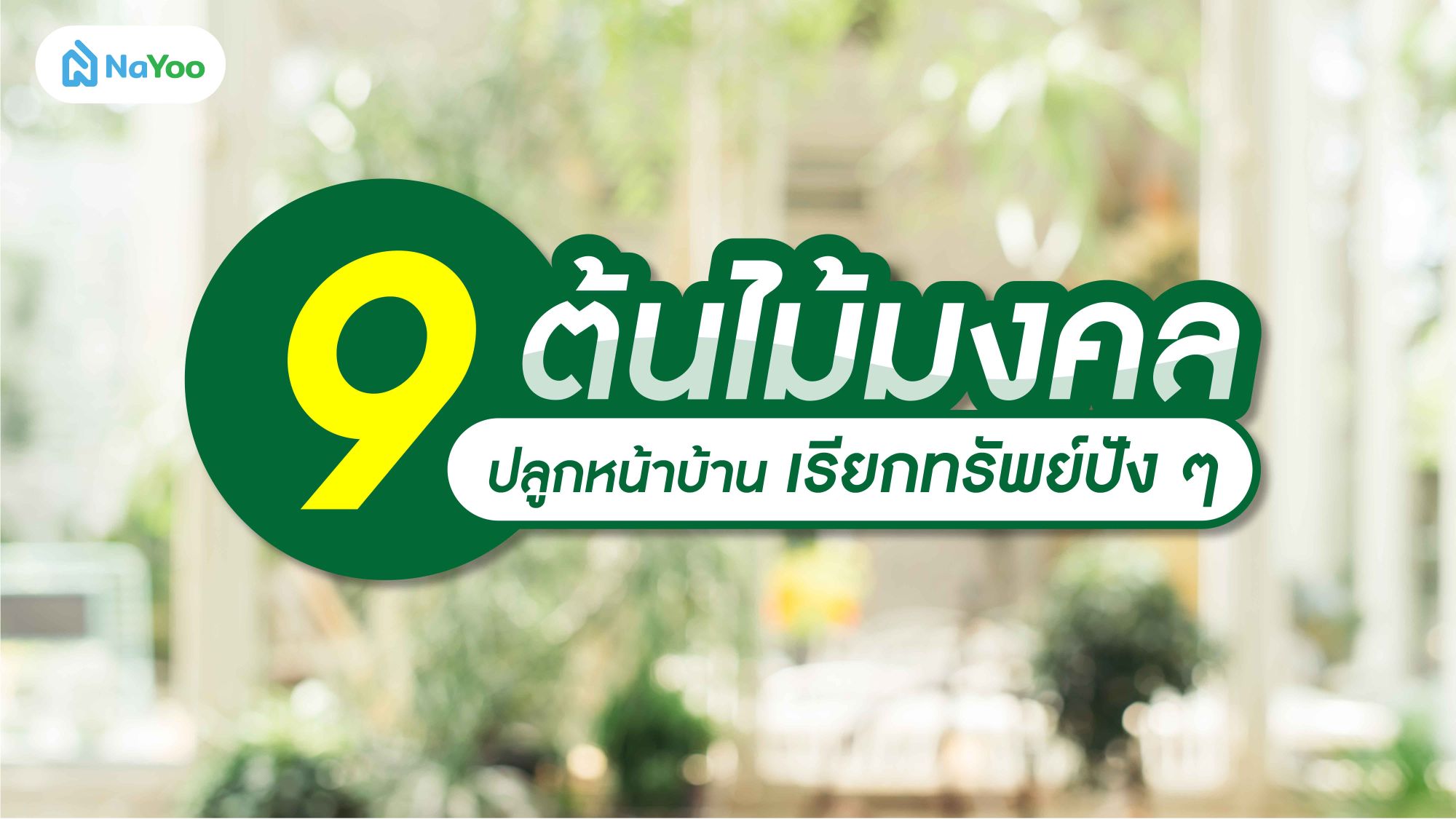 9 ต้นไม้มงคล ปลูกหน้าบ้าน เรียกทรัพย์ปัง ๆ