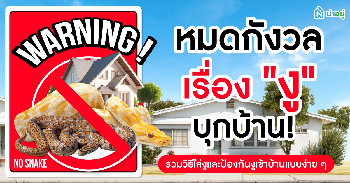 หมดกังวลเรื่อง "งู" บุกบ้าน! รวมวิธีไล่งูและป้องกันงูเข้าบ้านแบบง่าย ๆ