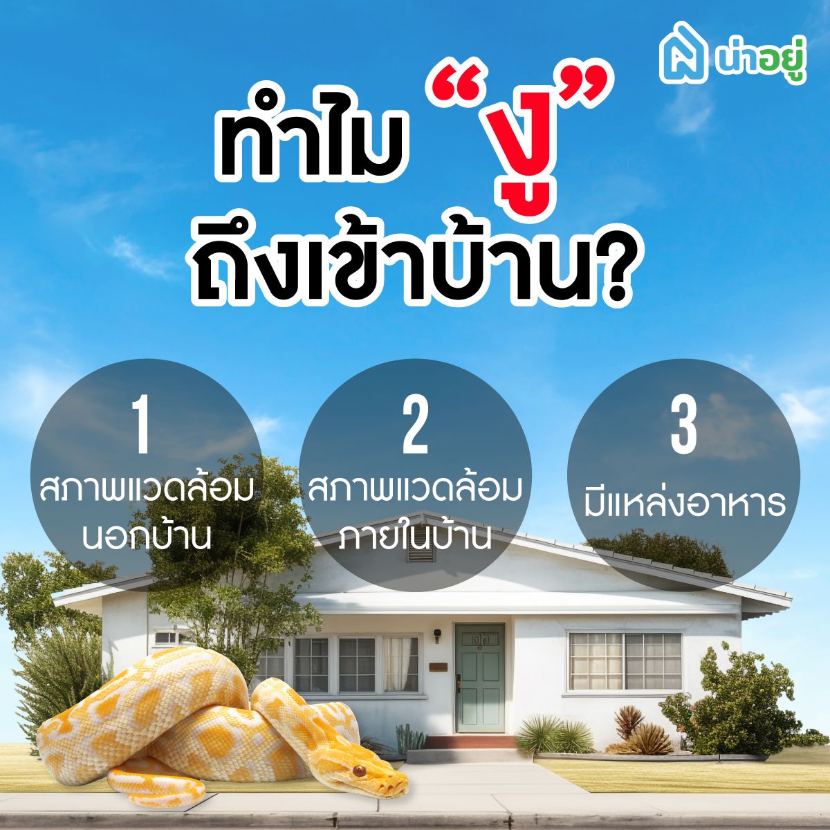 ทำไมงูถึงเข้าบ้าน