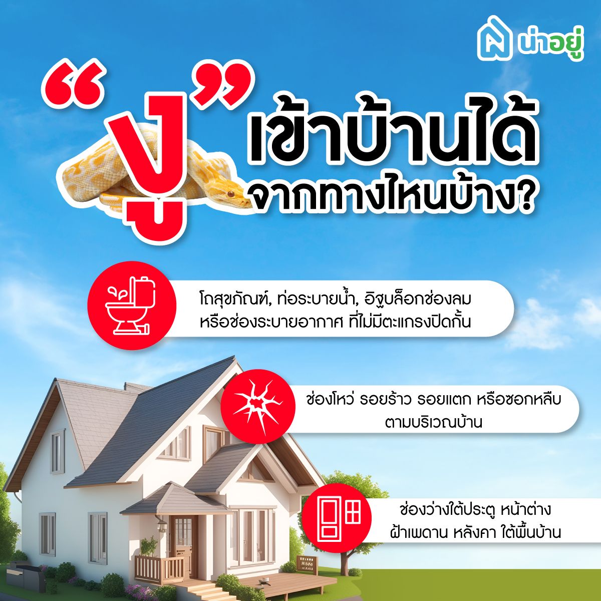 แล้วงูเข้ามาในบ้านจากทางไหน?