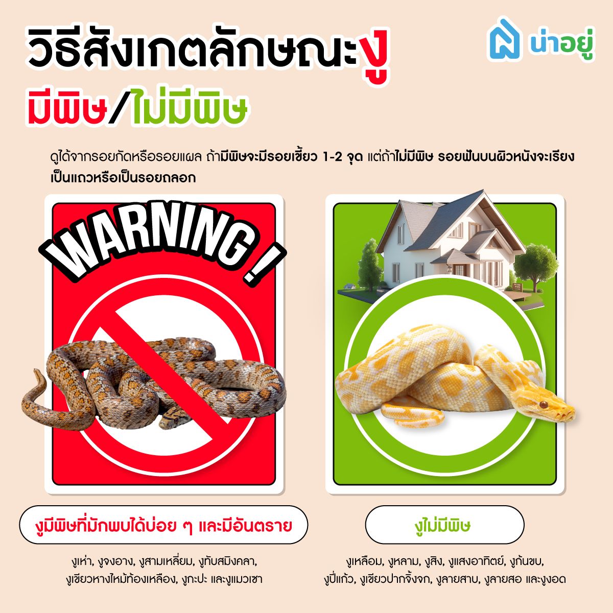 วิธีสังเกตลักษณะงู