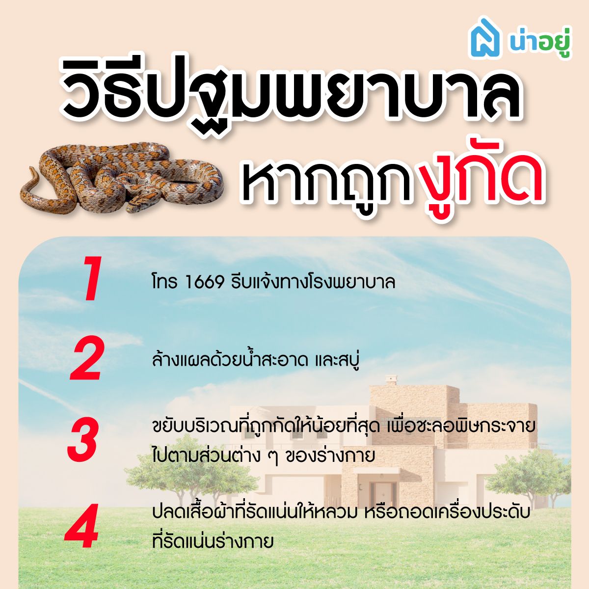 วิธีปฐมพยาบาล หากถูกงูกัด