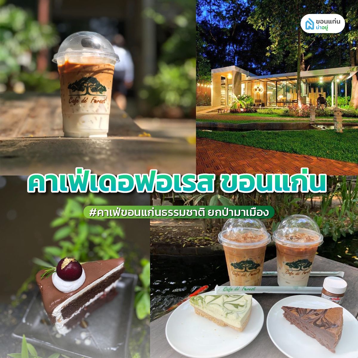 'คาเฟ่เดอฟอเรส ขอนแก่น' คาเฟ่ขอนแก่นธรรมชาติ ยกป่ามาเมือง