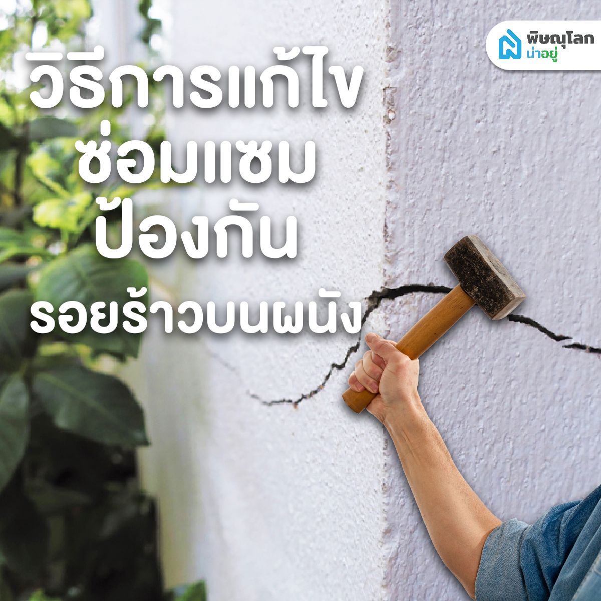เช็กรอยร้าวผนัง แบบไหนที่ควรกังวล และส่งผลเสีย พร้อมทางแก้ไข