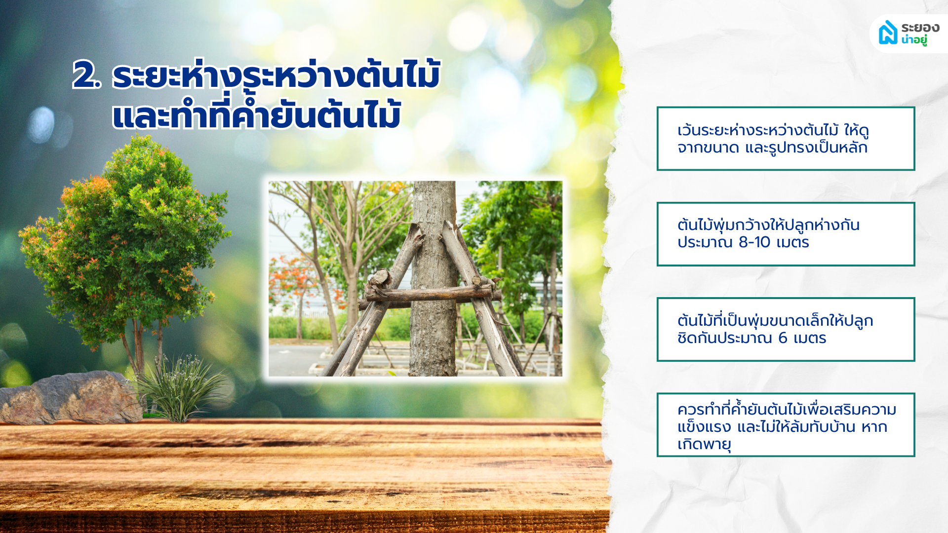 ปลูกต้นไม้ใหญ่ในบ้านระยอง